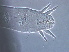  ( - NJAU-HEN14-2)  @11 [ ] CreativeCommons - Attribution Non-Commercial Share-Alike (2020) Unspecified Nanjing Agriculture university