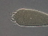  ( - Q359-2)  @11 [ ] CreativeCommons - Attribution Non-Commercial Share-Alike (2020) Unspecified Nanjing Agriculture university