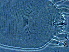  (Surapoda artabotrysi - AH3-2)  @11 [ ] CreativeCommons - Attribution Non-Commercial Share-Alike (2020) Unspecified Nanjing Agriculture university