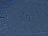  (Calepitrimerus sp. Z308 - NJAU-Z308-1)  @11 [ ] CreativeCommons - Attribution Non-Commercial Share-Alike (2020) Unspecified Nanjing Agriculture university