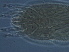  ( - AH23-2)  @11 [ ] CreativeCommons - Attribution Non-Commercial Share-Alike (2020) Unspecified Nanjing Agriculture university