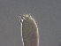  ( - NJAU-GZ79-2)  @11 [ ] CreativeCommons - Attribution Non-Commercial Share-Alike (2020) Unspecified Nanjing Agriculture university