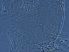  ( - NJAU-HEN29-2)  @11 [ ] CreativeCommons - Attribution Non-Commercial Share-Alike (2020) Unspecified Nanjing Agriculture university