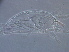  ( - BIOUG59201-B02)  @11 [ ] CreativeCommons - Attribution Non-Commercial Share-Alike (2020) Unspecified Nanjing Agriculture university