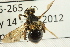  ( - 12-5-265)  @13 [ ] CreativeCommons - Attribution Non-Commercial Share-Alike (2012) Unspecified Unspecified