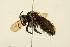  ( - 12-5-265)  @12 [ ] CreativeCommons - Attribution Non-Commercial Share-Alike (2012) Unspecified Unspecified
