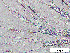  ( - EES095)  @13 [ ] CreativeCommons - Attribution Share-Alike  Unspecified Unspecified