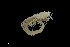 ( - TI.S5.070521.6Cirri_1)  @11 [ ] Copyright (c)  Maël Grosse/Carol Simon University of the Balearic Islands/Stellenbosch University