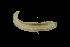  ( - TI.S5.070521.5Cirri_2)  @11 [ ] Copyright (c)  Maël Grosse/Carol Simon University of the Balearic Islands/Stellenbosch University