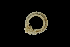  ( - Be.S8.290721.1Cirri_1)  @11 [ ] Copyright (c)  Maël Grosse/Carol Simon University of the Balearic Islands/Stellenbosch University