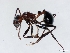  ( - ETKBLF0012)  @13 [ ] No Rights Reserved  Unspecified Unspecified