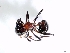  ( - ETKISI0001)  @12 [ ] No Rights Reserved  Unspecified Unspecified