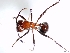  ( - ETKISI0002)  @12 [ ] No Rights Reserved  Unspecified Unspecified
