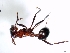  ( - ETKISI0004)  @12 [ ] No Rights Reserved  Unspecified Unspecified