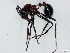  ( - ETKNG0011)  @14 [ ] No Rights Reserved  Unspecified Unspecified