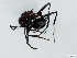  ( - ETKNG0012)  @12 [ ] No Rights Reserved  Unspecified Unspecified