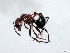  ( - ETKNG0014)  @13 [ ] No Rights Reserved  Unspecified Unspecified