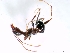  ( - ETKPMT0009)  @13 [ ] No Rights Reserved  Unspecified Unspecified