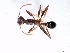  ( - ETKPMT0010)  @13 [ ] No Rights Reserved  Unspecified Unspecified
