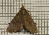  ( - KJ923)  @13 [ ] No Rights Reserved (2012) Unspecified Unspecified