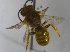  ( - BNRGr1Hym0104)  @12 [ ] Unspecified (default): All Rights Reserved  Unspecified Unspecified