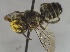  ( - BNRGr1Hym04)  @12 [ ] Unspecified (default): All Rights Reserved  Unspecified Unspecified