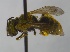  ( - CVFo1Hym01)  @12 [ ] Unspecified (default): All Rights Reserved  Unspecified Unspecified