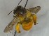  ( - CarrGr1Hym06)  @13 [ ] Unspecified (default): All Rights Reserved  Unspecified Unspecified