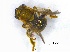  ( - CrestvGrHym03)  @12 [ ] Unspecified (default): All Rights Reserved  Unspecified Unspecified