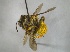  ( - Giba Gr1Hym04)  @13 [ ] Unspecified (default): All Rights Reserved  Unspecified Unspecified