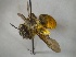  ( - Giba Gr1Hym06)  @13 [ ] Unspecified (default): All Rights Reserved  Unspecified Unspecified
