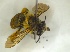  ( - Giba Gr2Hym09)  @12 [ ] Unspecified (default): All Rights Reserved  Unspecified Unspecified