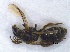  ( - NabKHym02)  @12 [ ] Unspecified (default): All Rights Reserved  Unspecified Unspecified