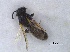  ( - SprKHym0602)  @12 [ ] Unspecified (default): All Rights Reserved  Unspecified Unspecified