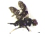 ( - IphGr3Dipt15)  @12 [ ] Unspecified (default): All Rights Reserved  Unspecified Unspecified