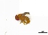  ( - MsiFo1Dipt51)  @12 [ ] Unspecified (default): All Rights Reserved  Unspecified Unspecified