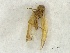  ( - SpringGr3Hemi2102)  @12 [ ] Unspecified (default): All Rights Reserved  Unspecified Unspecified