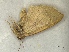  ( - KJ1348)  @11 [ ] Unspecified (default): All Rights Reserved  Unspecified Unspecified