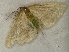  ( - KJ1898)  @12 [ ] Unspecified (default): All Rights Reserved  Unspecified Unspecified