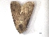  ( - KJ4193)  @13 [ ] Unspecified (default): All Rights Reserved  Unspecified Unspecified