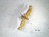  ( - MagaMain02Lepi28)  @12 [ ] Unspecified (default): All Rights Reserved  Unspecified Unspecified