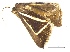  ( - Pha65)  @13 [ ] Unspecified (default): All Rights Reserved  Unspecified Unspecified