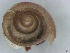  ( - IPHFOMOL1102)  @11 [ ] No Rights Reserved (2012) Unspecified Unspecified