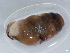  ( - NMSA W281002)  @11 [ ] No Rights Reserved (2012) Unspecified Unspecified