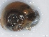  ( - NMSA W2813)  @12 [ ] No Rights Reserved (2012) Unspecified Unspecified