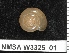  ( - NMSA W332501)  @13 [ ] No Rights Reserved (2012) Unspecified Unspecified