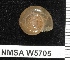  ( - NMSA W5705)  @13 [ ] No Rights Reserved (2012) Unspecified Unspecified
