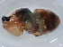  ( - NMSA W571101)  @11 [ ] No Rights Reserved (2012) Unspecified Unspecified