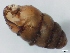  ( - NMSA W788803)  @12 [ ] No Rights Reserved (2012) Unspecified Unspecified