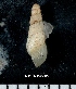  ( - W8665)  @12 [ ] No Rights Reserved (2012) Unspecified Unspecified